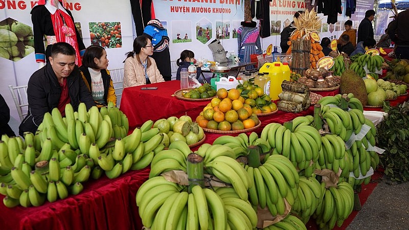 Chuối Mường Khương được bán tại Phiên chợ văn hoá thúc đẩy tiêu thụ sản phẩm vùng dân tộc thiểu số và miền núi tỉnh Lào Cai (Ảnh: MA – MC) Chuối Mường Khương được bán tại Phiên chợ văn hoá thúc đẩy tiêu thụ sản phẩm vùng dân tộc thiểu số và miền núi tỉnh Lào Cai (Ảnh: MA – MC)