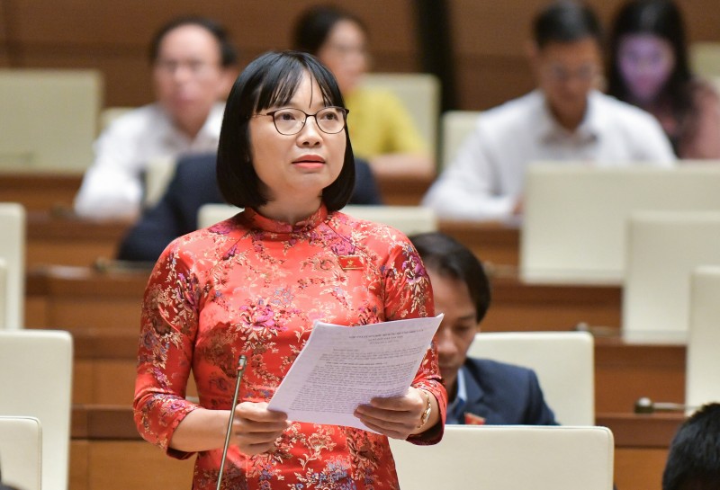 Đại biểu Nguyễn Thị Việt Nga - Đoàn ĐBQH tỉnh Hải Dương Đại biểu Nguyễn Thị Việt Nga - Đoàn ĐBQH tỉnh Hải Dương