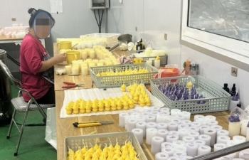 Phạt và truy thu thuế doanh nghiệp; Công ty phát triển giống bò không thực hiện đúng chủ trương đầu tư