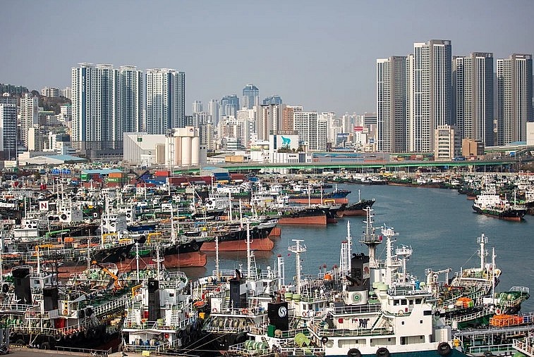 Cảng hàng hóa ở Busan, Hàn Quốc. (Ảnh: THX/TTXVN) Cảng hàng hóa ở Busan, Hàn Quốc. (Ảnh: THX/TTXVN)