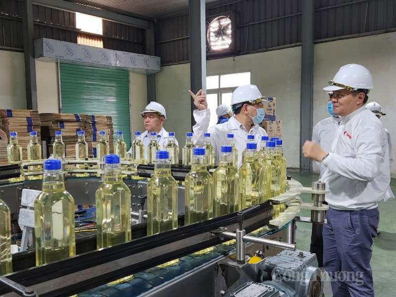 Bộ Công Thương ban hành Kế hoạch triển khai thực hiện Chỉ thị số 17 về an toàn thực phẩm Bộ Công Thương ban hành Kế hoạch triển khai thực hiện Chỉ thị số 17 về an toàn thực phẩm