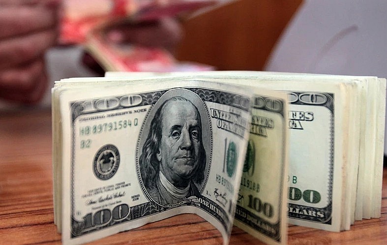 Đồng USD. (Nguồn: AFP/TTXVN) Đồng USD. (Nguồn: AFP/TTXVN)