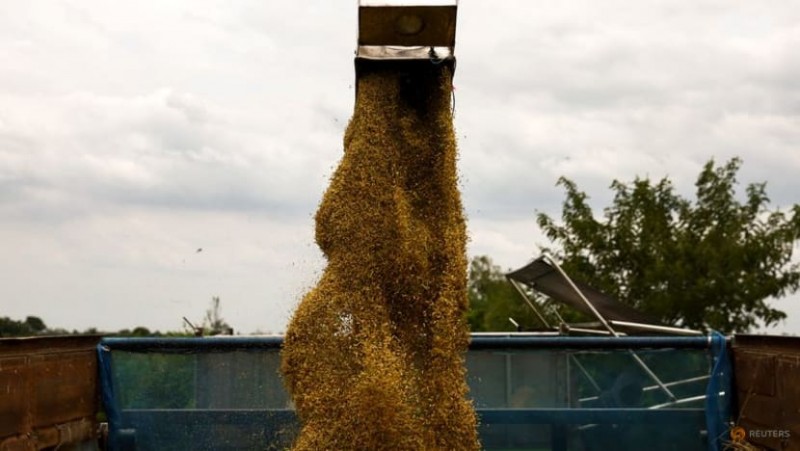 Sản lượng gạo trái vụ đầu năm 2024 của châu Á bị hạn chế gây áp lực nguồn cung Sản lượng gạo trái vụ đầu năm 2024 của châu Á bị hạn chế gây áp lực nguồn cung