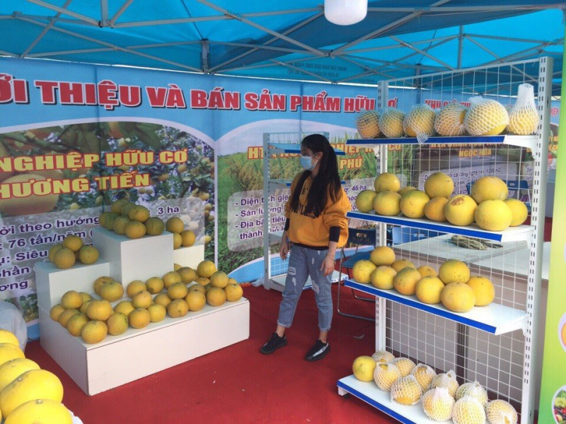 Sản phẩm bưởi hữu cơ của Hợp tác xã Nông nghiệp hữu cơ Nam Phương Tiến (huyện Chương Mỹ) được bán trên sàn thương mại điện tử.