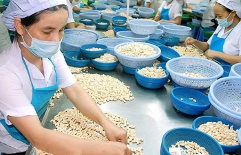 Khai thác thị trường nông sản Trung Đông và châu Phi