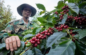 Chủ động với Thỏa thuận Xanh của EU để xuất khẩu bền vững