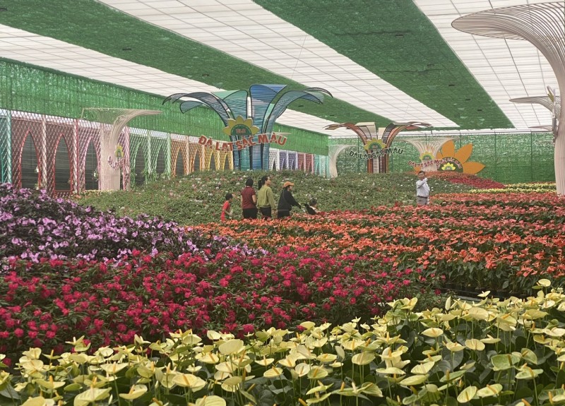 Chấm dứt Quy chế tạm thời về kinh doanh du lịch canh nông tại Lâm Đồng Chấm dứt Quy chế tạm thời về kinh doanh du lịch canh nông tại Lâm Đồng