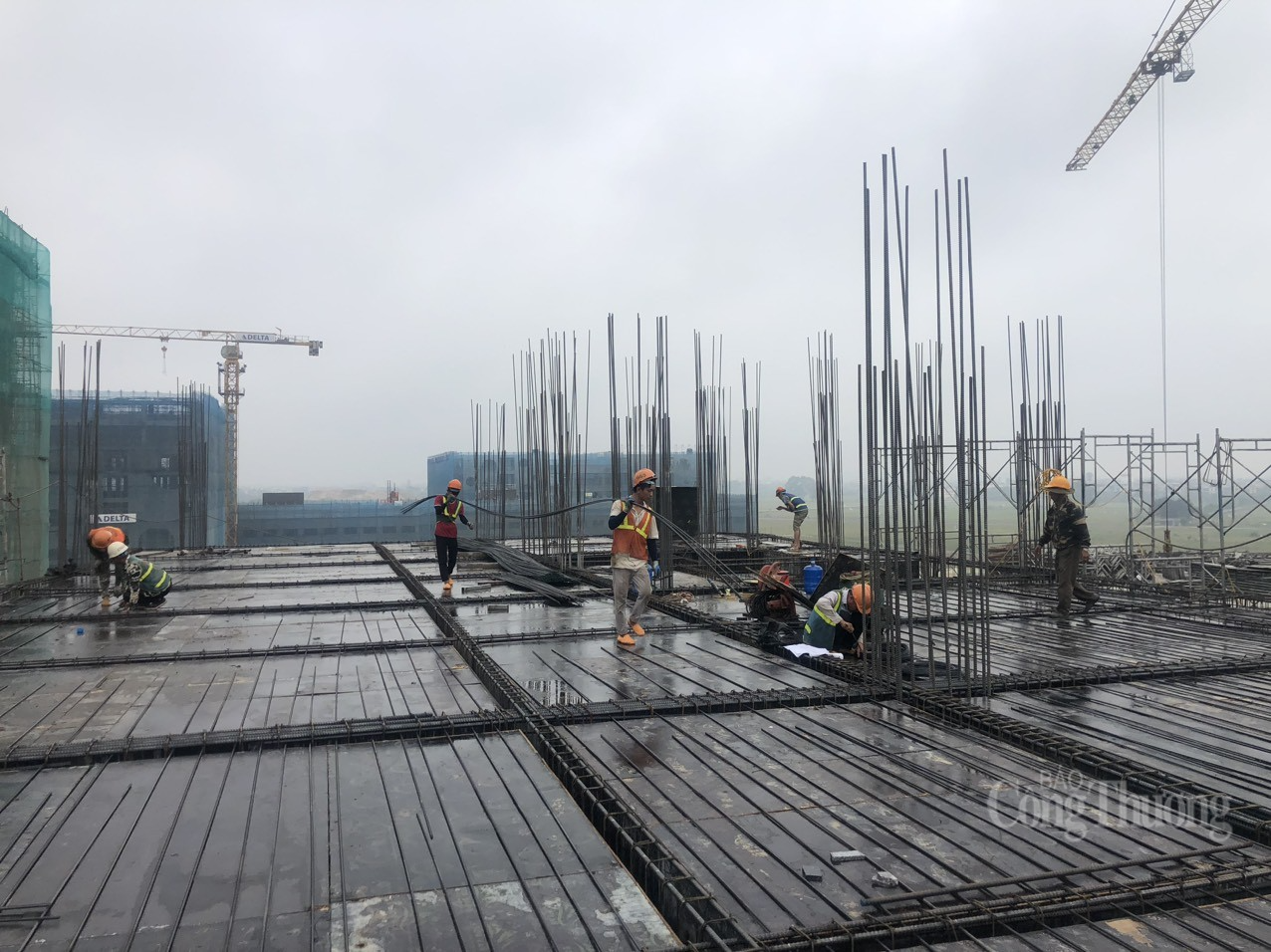 Giải pháp nào sẽ