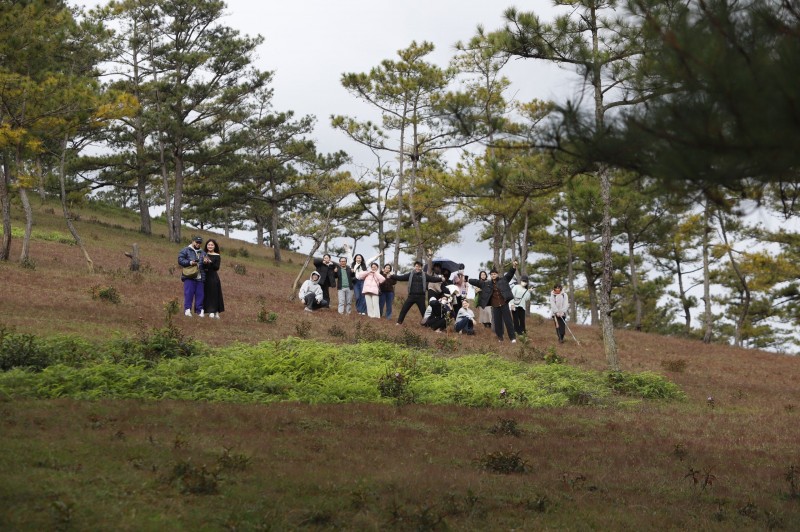 Lâm Đồng: Đồi cỏ hồng - điểm đến không thể bỏ qua Lâm Đồng: Đồi cỏ hồng - điểm đến không thể bỏ qua