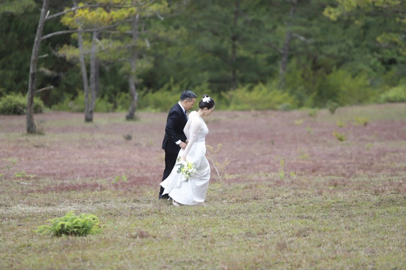 Lâm Đồng: Đồi cỏ hồng - điểm đến không thể bỏ qua Lâm Đồng: Đồi cỏ hồng - điểm đến không thể bỏ qua