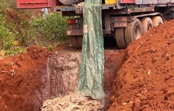 Gia Lai: Tổ chức tiêu hủy 5,5 tấn cá tầm nhập lậu