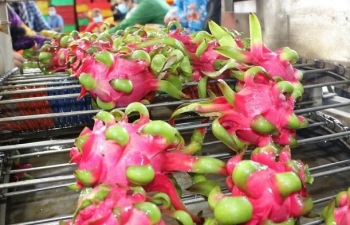 Thay đổi cách tiếp cận để khai thác hiệu quả hơn thị trường Trung Quốc