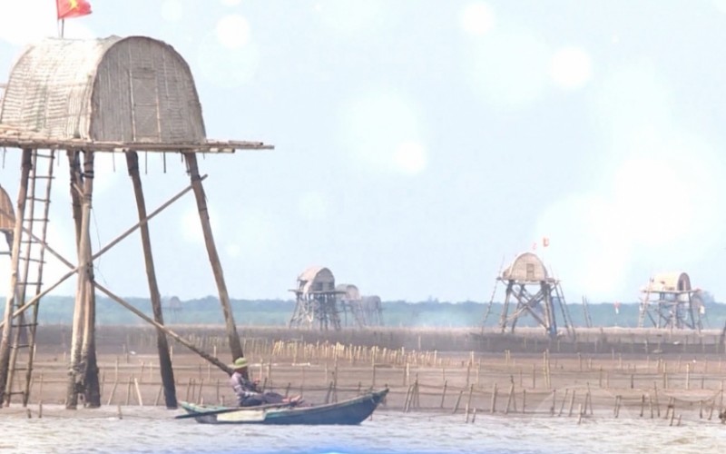 Vùng nuôi trồng thủy sản Thái Bình