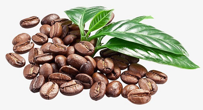 Giá cà phê trong nước ngày 7/12 tăng mạnh. Ảnh minh họa Giá cà phê trong nước ngày 7/12 tăng mạnh. Ảnh minh họa