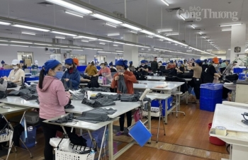 Thanh Hóa: 11 tháng, hơn 3.300 doanh nghiệp thành lập mới, đứng thứ 8 cả nước