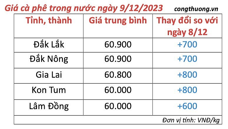 Thị trường cà phê trong nước ngày 9/12/2023 Thị trường cà phê trong nước ngày 9/12/2023