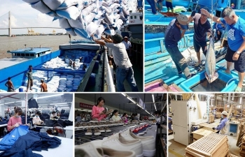 Tọa đàm doanh nghiệp Việt Nam, Hà Lan về EVFTA