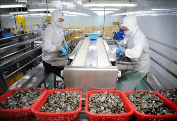 Xuất khẩu tôm dự kiến đạt 3,4 tỷ USD