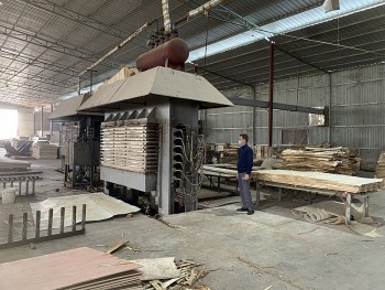 Thái Nguyên: Phấn đấu tăng mạnh số cơ sở công nghiệp nông thôn thụ hưởng chính sách khuyến công