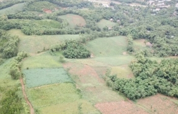 Thanh Hóa: Không gia hạn dự án Nhà máy điện năng lượng mặt trời của Công ty Hoàng Sơn