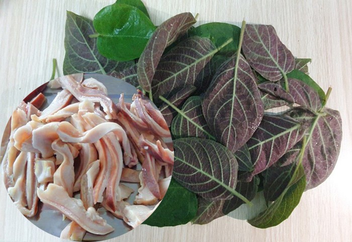 Bổ sung dinh dưỡng từ dạ dày và lá mơ lông giúp tăng cường dinh dưỡng vì dạ dày lợn có nhiều chất đạm Bổ sung dinh dưỡng từ dạ dày và lá mơ lông giúp tăng cường dinh dưỡng vì dạ dày lợn có nhiều chất đạm