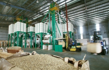 Ngành cà phê nâng cao năng lực để đáp ứng yêu cầu của thị trường EU
