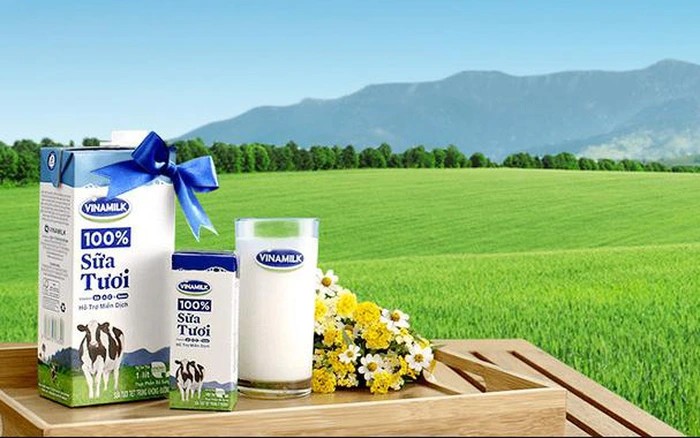 Đầu tư SCIC muốn làm cổ đông tại Vinamilk | Vietstock