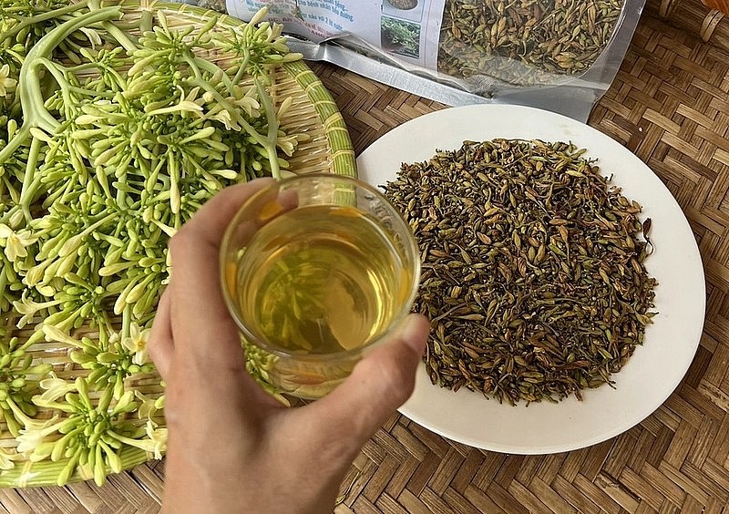 Bạn cũng có thể mang sấy khô hoặc phơi khô để dùng dần Bạn cũng có thể mang sấy khô hoặc phơi khô để dùng dần