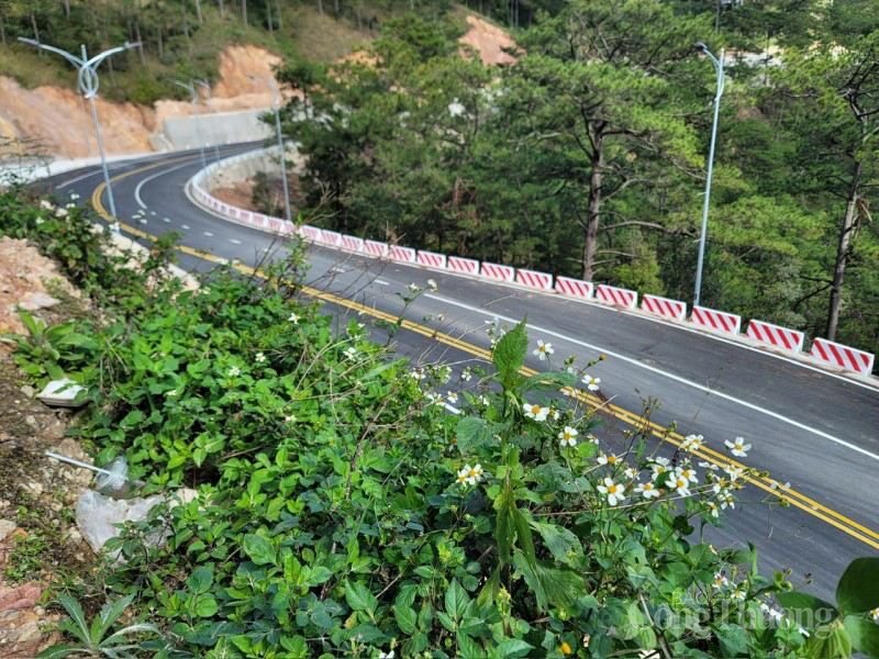 Lâm Đồng: Thông xe một phần tuyến đường đèo Prenn Lâm Đồng: Thông xe một phần tuyến đường đèo Prenn