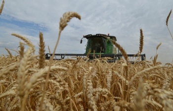 Các mặt hàng nông sản đồng loạt hồi phục trong phiên cuối tuần