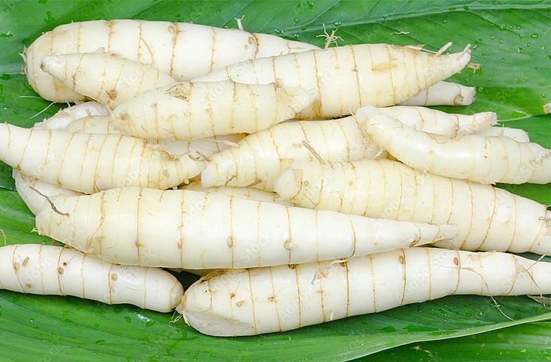 củ dong có thành phần dinh dưỡng cao đồng thời còn mang lại nhiều lợi ích cho sức khỏe. Ảnh minh họa củ dong có thành phần dinh dưỡng cao đồng thời còn mang lại nhiều lợi ích cho sức khỏe. Ảnh minh họa