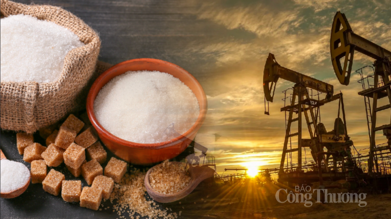 Thị trường hàng hoá hôm nay 19/12/2023: Dòng tiền đầu tư lên cao kỷ lục từ đầu năm đến nay Thị trường hàng hoá hôm nay 19/12/2023: Dòng tiền đầu tư lên cao kỷ lục từ đầu năm đến nay