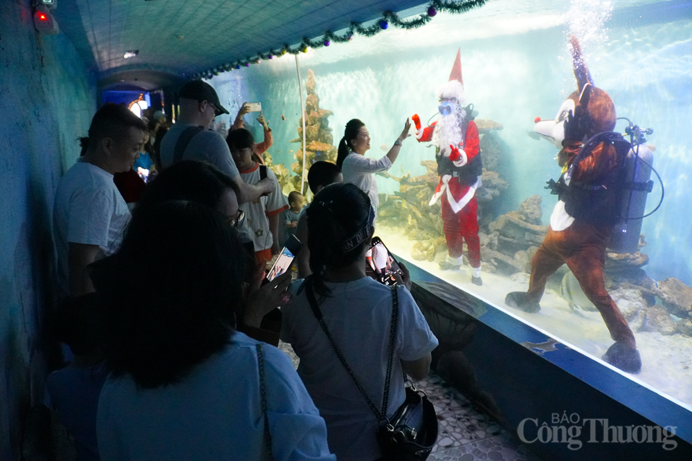 Lần đầu tiên ông già Noel xuất hiện dưới nước tại Viện Hải dương học