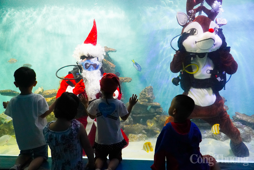 Lần đầu tiên ông già Noel xuất hiện dưới nước tại Viện Hải dương học