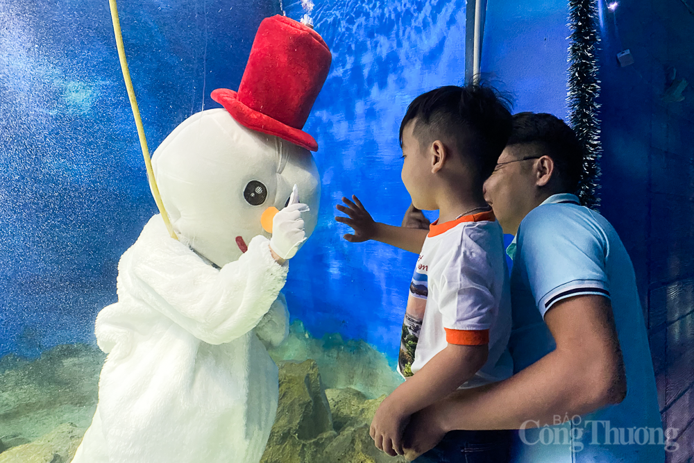 Lần đầu tiên ông già Noel xuất hiện dưới nước tại Viện Hải dương học