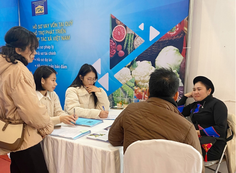 Gần 100 gian hàng tham gia ngày hội dược liệu các hợp tác xã Việt Nam Gần 100 gian hàng tham gia ngày hội dược liệu các hợp tác xã Việt Nam