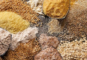 Năm 2023, Việt Nam chi gần 5 tỷ USD nhập khẩu thức ăn gia súc và nguyên liệu