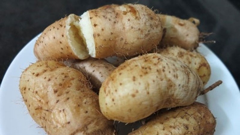 Ảnh minh họa Ảnh minh họa