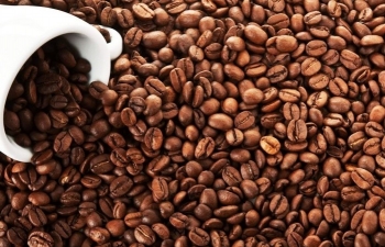 Giá cà phê Arabica còn động lượng tăng trước lo ngại nguồn cung thấp