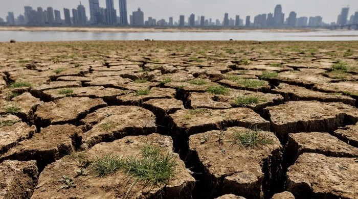 Bien doi khi hau Bien doi khi hau