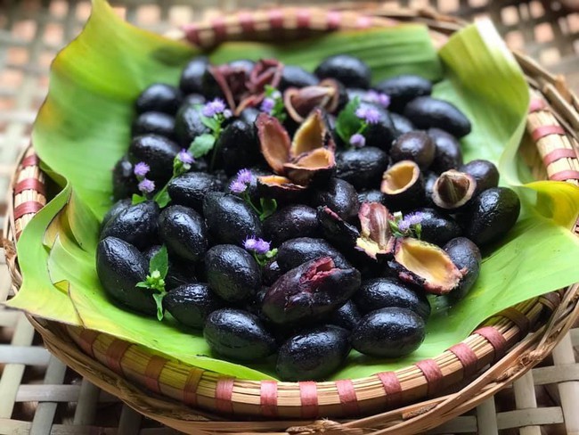 Quả trám - không những ngon miệng mà còn là vị thuốc quý Quả trám - không những ngon miệng mà còn là vị thuốc quý