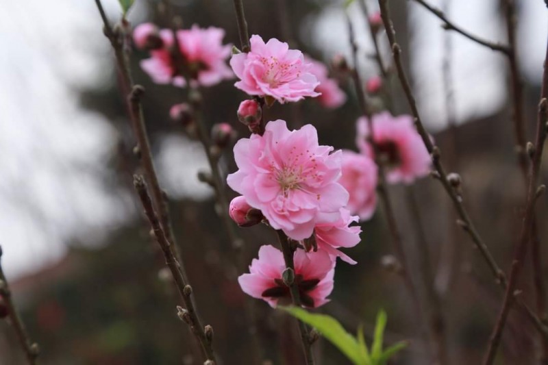 Cuối năm lại ngóng thưởng Tết! Cuối năm lại ngóng thưởng Tết!