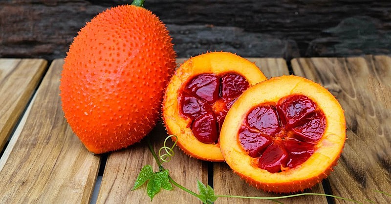 Những quả gấc vừa chín và còn tươi ngon sẽ có chứa nhiều dưỡng chất nhất.