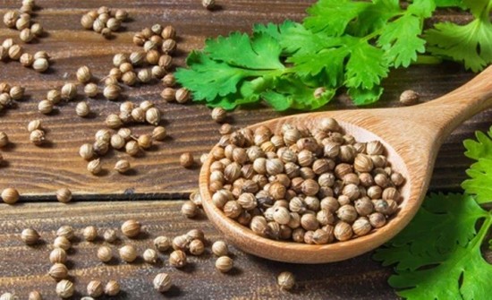 Rau mùi: Thần dược làm đẹp da Rau mùi: Thần dược làm đẹp da