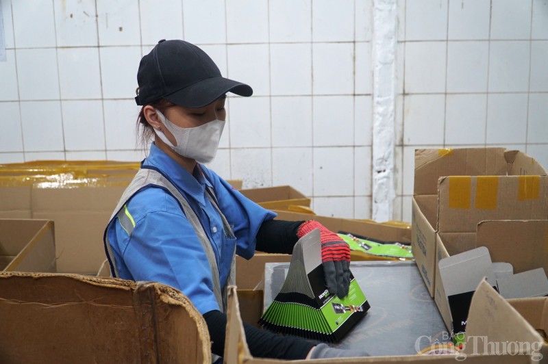 Đà Nẵng: Doanh nghiệp lo chuyện thưởng Tết cho người lao động Đà Nẵng: Doanh nghiệp lo chuyện thưởng Tết cho người lao động