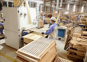 Châu Á tiếp tục là thị trường xuất khẩu lớn nhất của nông - lâm - thủy sản Việt Nam