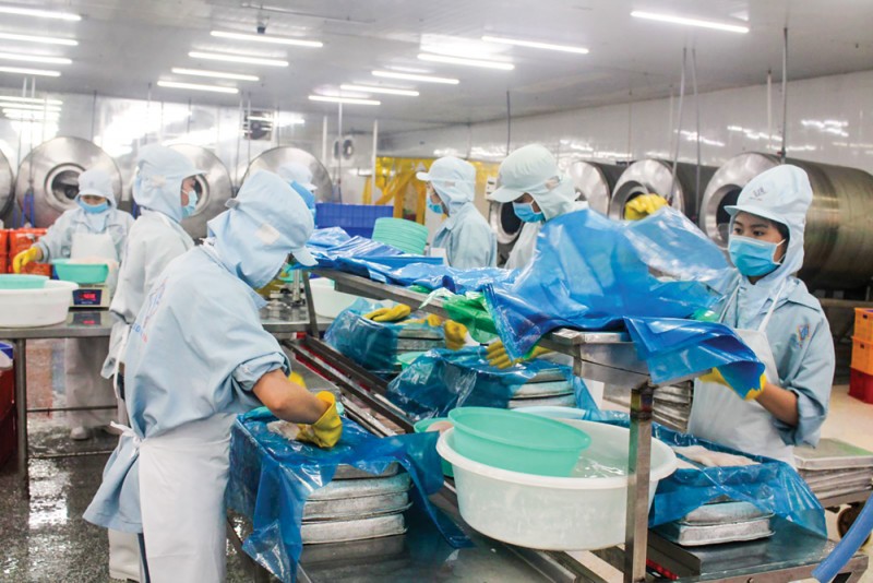 Xuất nhập khẩu sang khu vực Á - Phi: Khai thác tốt cơ hội từ thị các trường ngách Xuất nhập khẩu sang khu vực Á - Phi: Khai thác tốt cơ hội từ thị các trường ngách