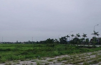 Thanh Hóa: “Ông lớn” trúng đấu giá khu 