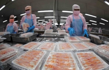 Hướng đi riêng cho tôm Việt