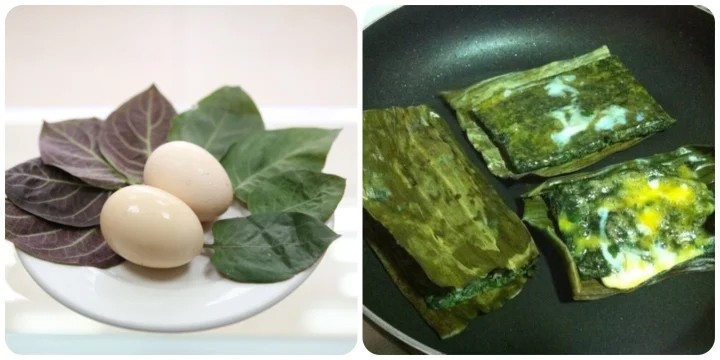 Bài thuốc từ cây Mơ Lông Bài thuốc từ cây Mơ Lông